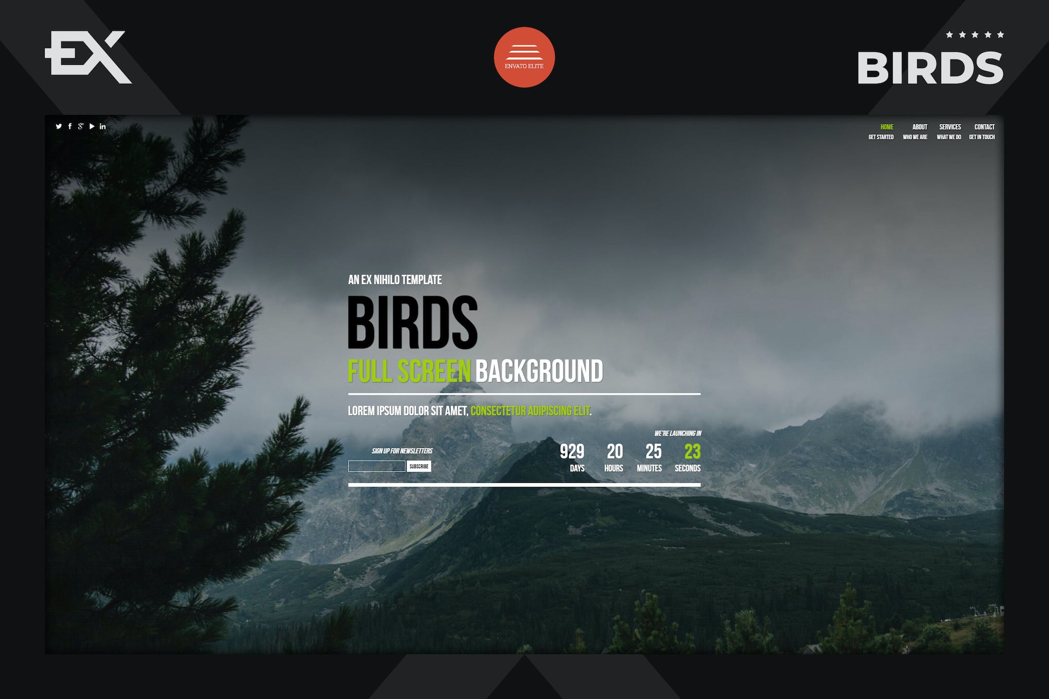 Birds – Responsive Coming Soon Page