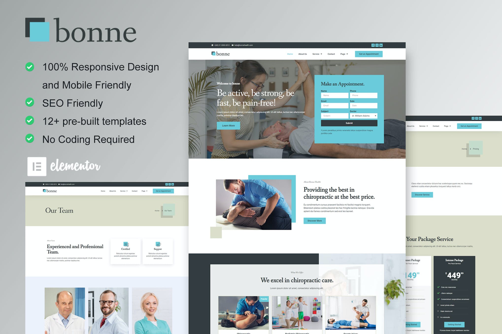 Bonne – Chiropractic & Physiotherapy Elementor Template Kit