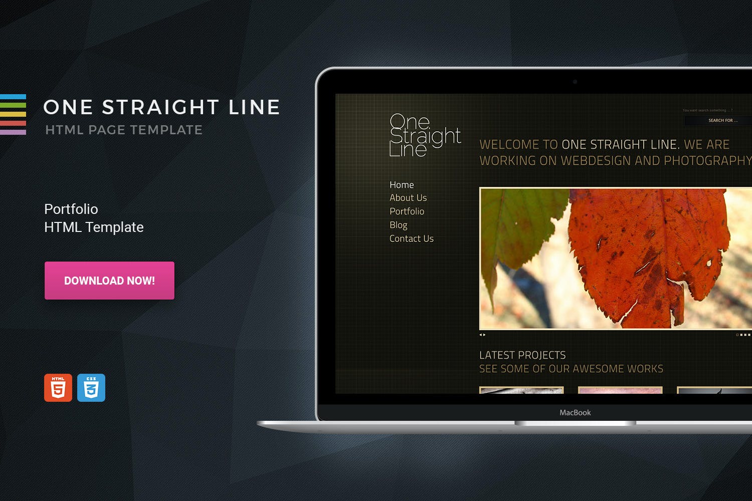 One Straight Line – Unique Portfolio Template