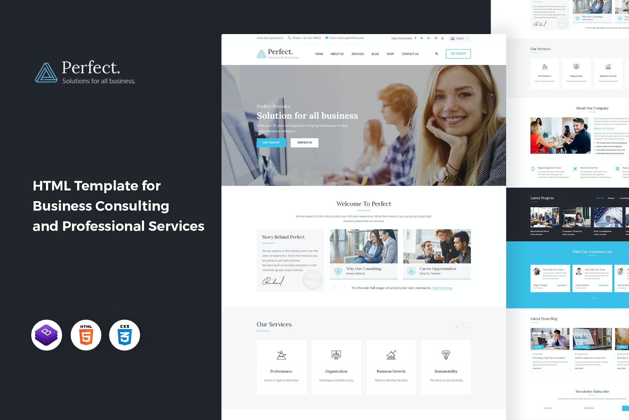 Perfect – Business Consulting HTML Template