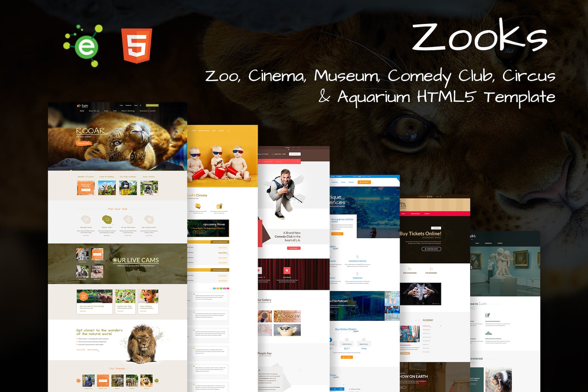 Zooks – 6 in 1 Multipurpose HTML5 Template