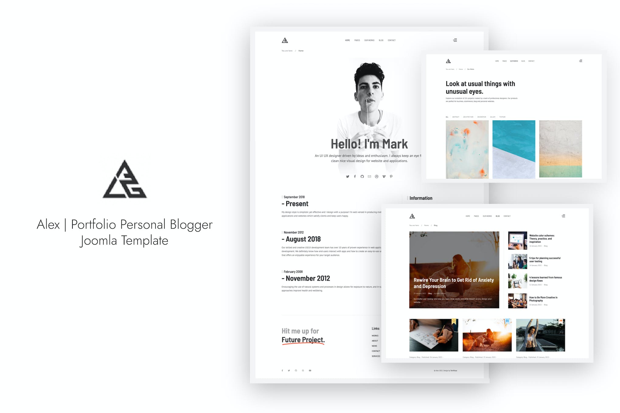 Alex – Portfolio Personal Blogger Joomla Template