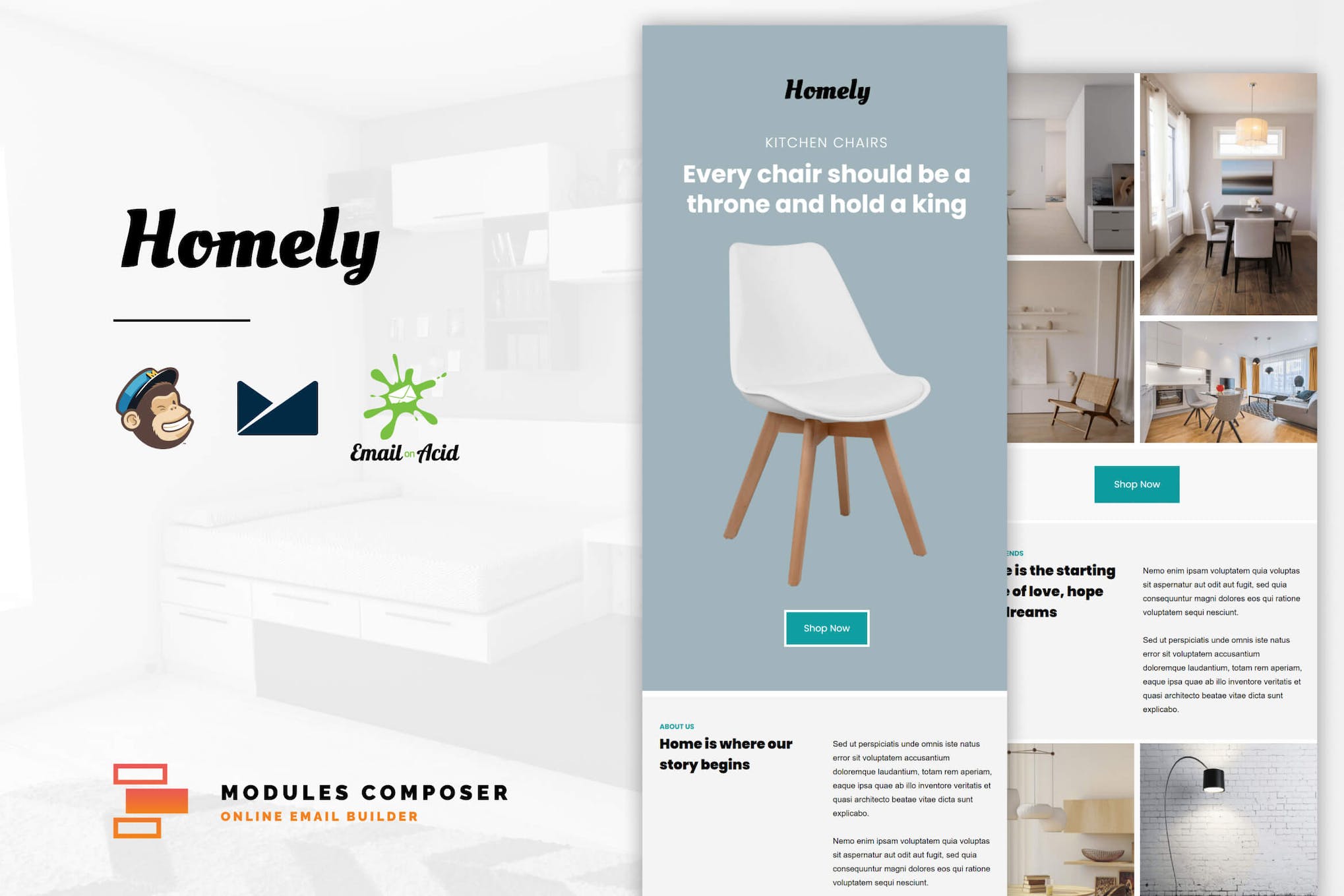 Homely – E-Commerce Responsive Email Template