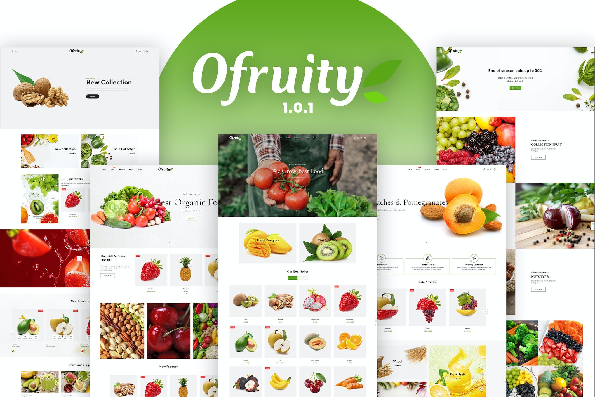 Ofruity – Organic Food/Fruit/Vegetables