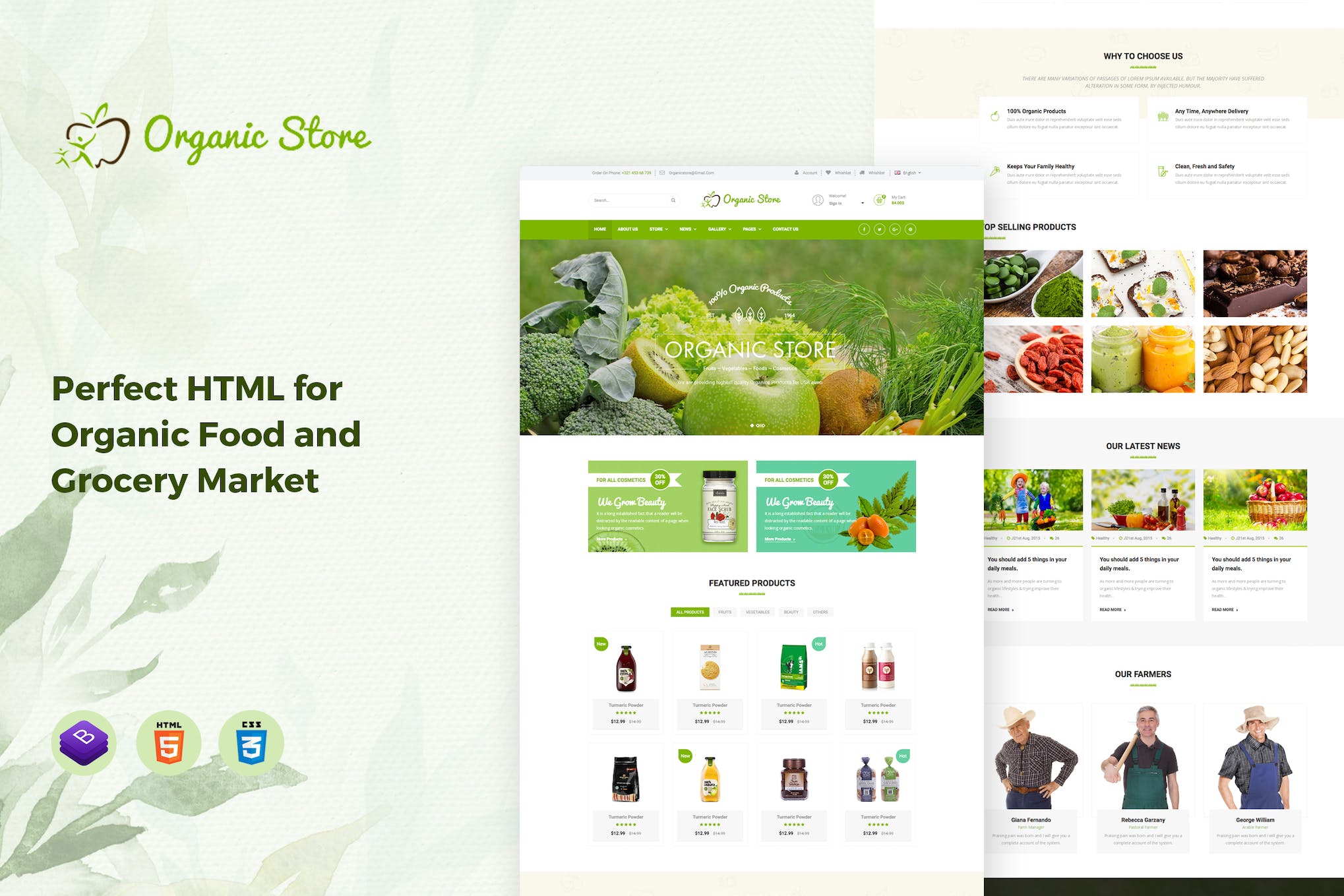 Organic Store – Food and Grocery HTML Template