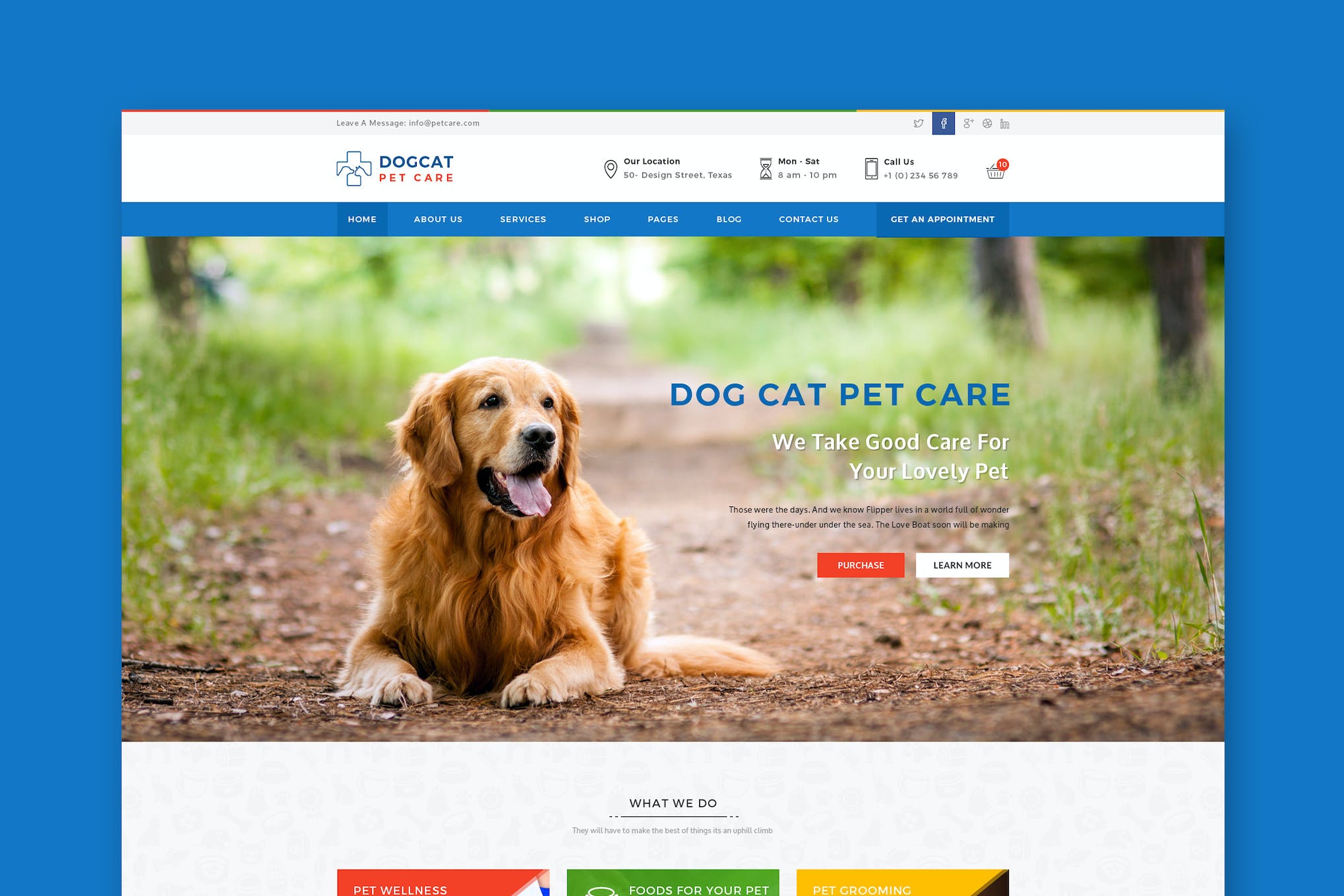 Pet Care – Veterinary HTML Template