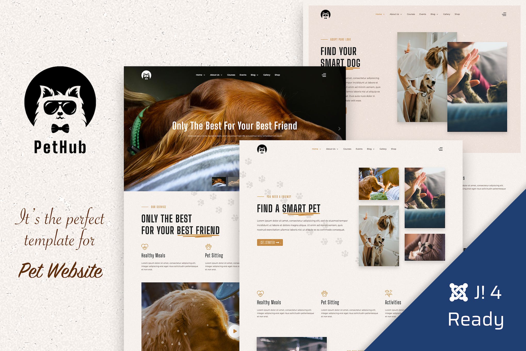 PetHub, Pet Care & Veterinary Joomla 4 Template