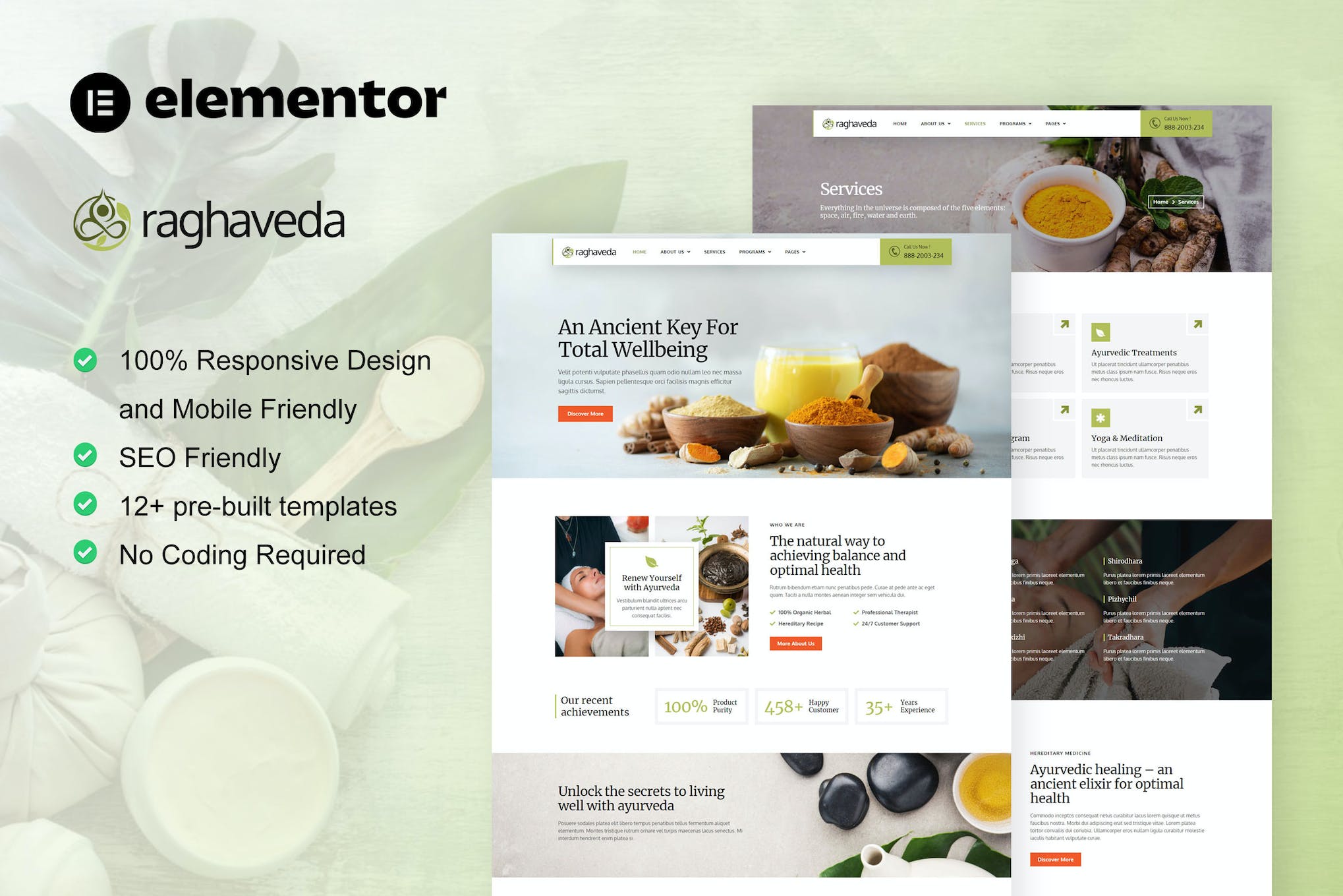 Raghaveda – Ayurveda Treatment & Spa Elementor Template Kit