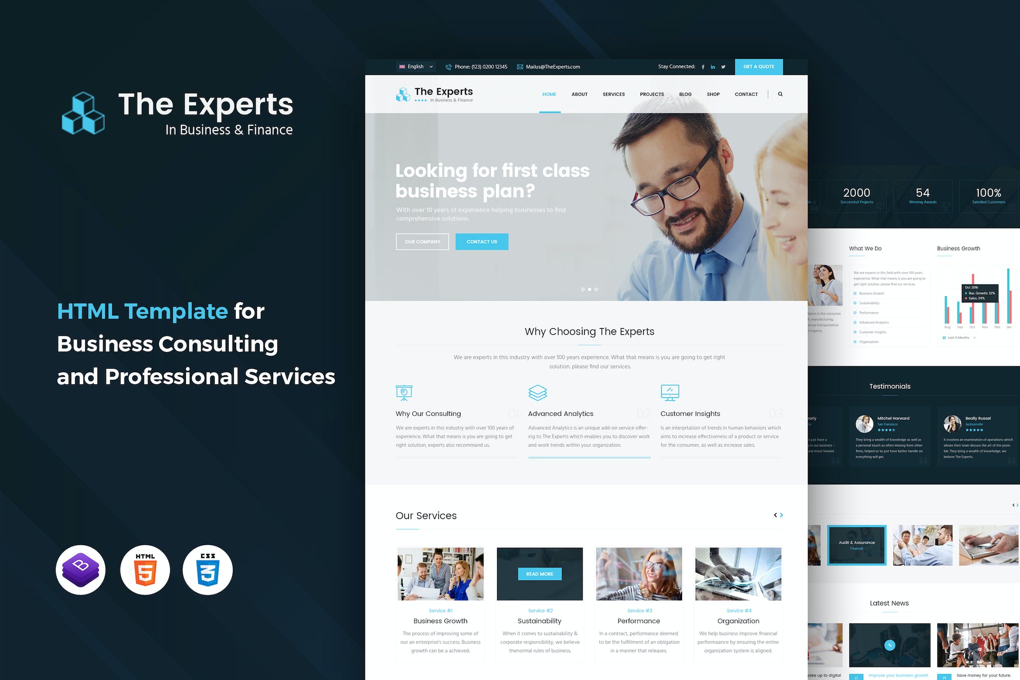 The Experts – Business Consulting Template