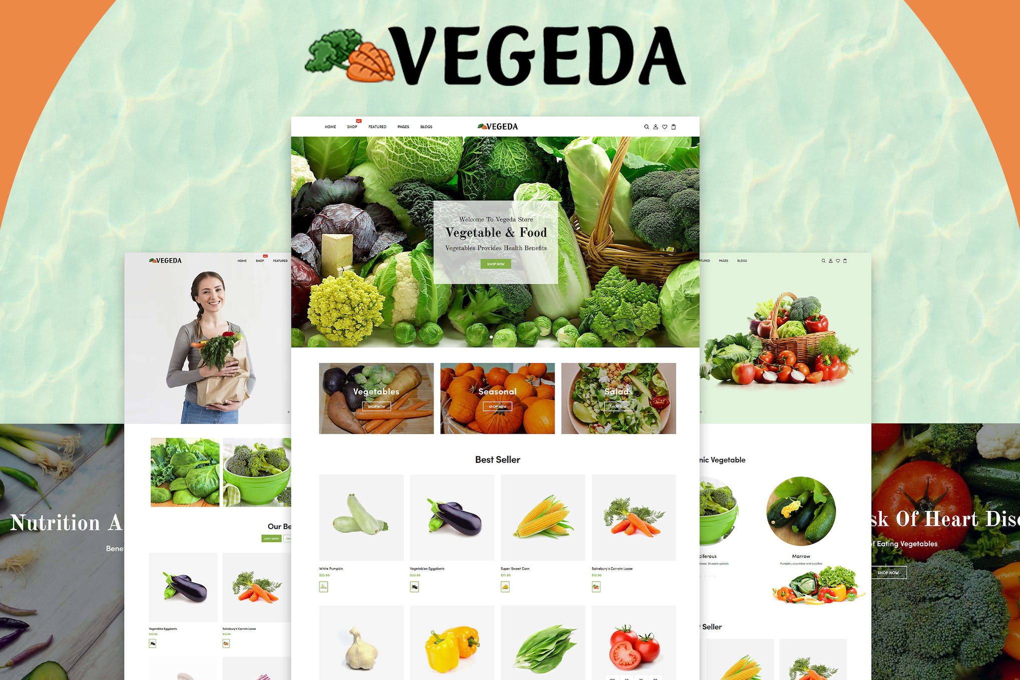 Vegeda – Vegetables And Organic Food Shopify Theme