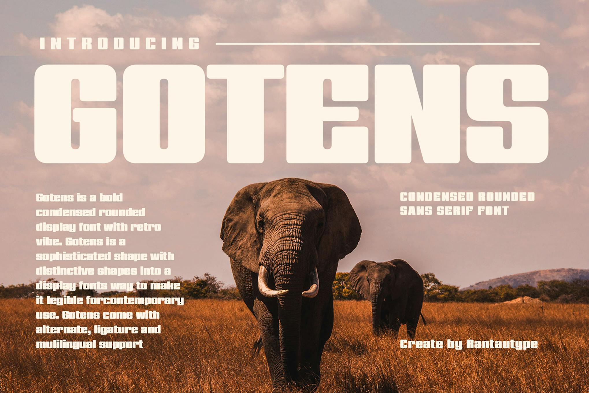 Gotens Bold Condensed Font