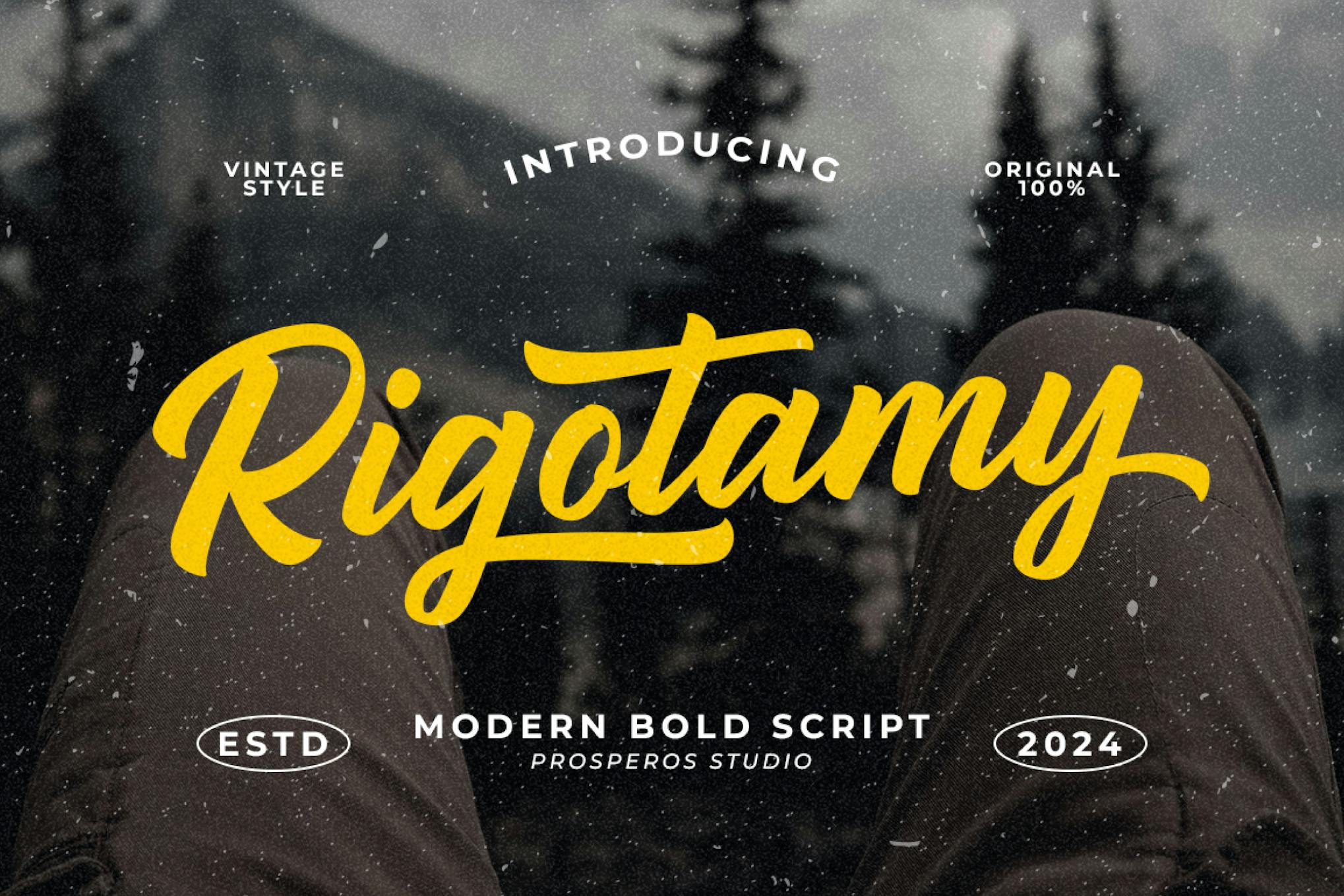 Rigotamy – Script Font